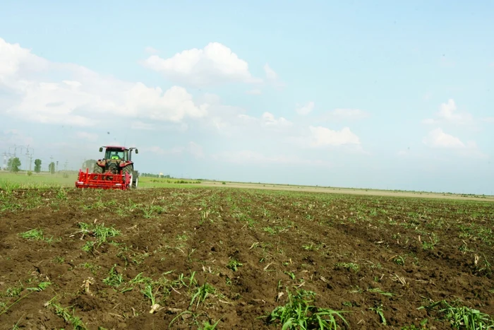 România are 8,3 milioane de hectare de teren arabil pe care se bat străinii  FOTO Adevărul