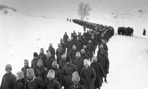 Înfrânți, dar nu uitați  Românii la Stalingrad jpeg