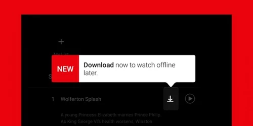 netflix download