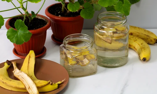 shutterstock 2607045851 jpg