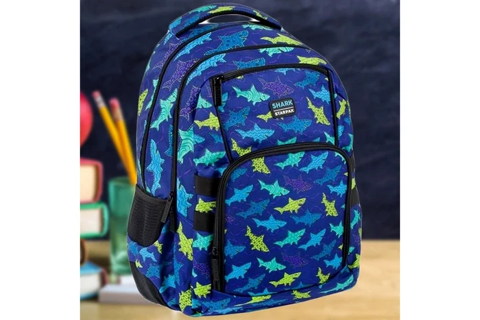 ghiozdan scolar libraria junior jpg