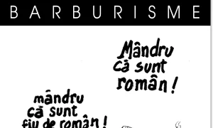 România serviciului prost făcut jpeg