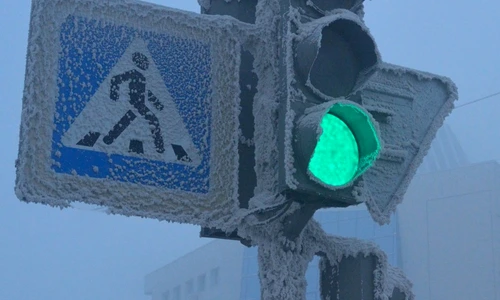 1 shutterstock 1227844945 jpg jpeg