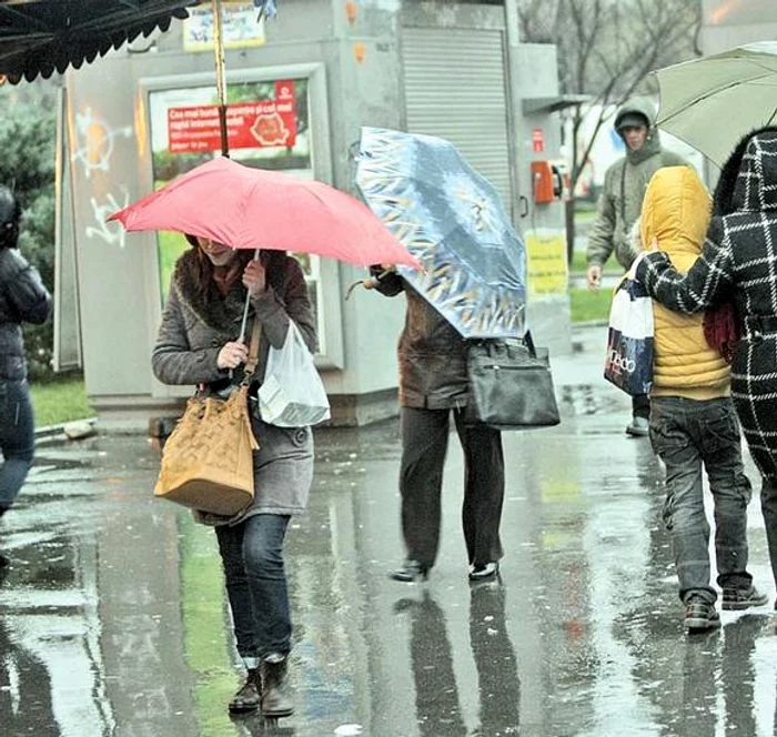 Cuibul trebuie mutat obligatoriu până la sfârşitul acestei săptămânifoto: www.milvus.ro