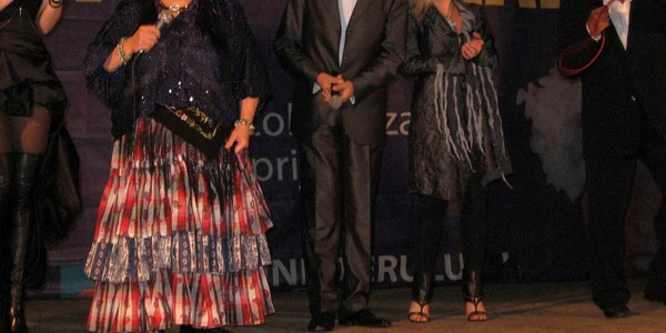Draga Olteanu Matei