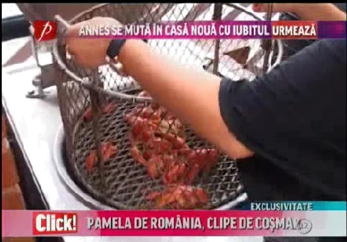 Racii gătiţi de Simona au fost foarte buni