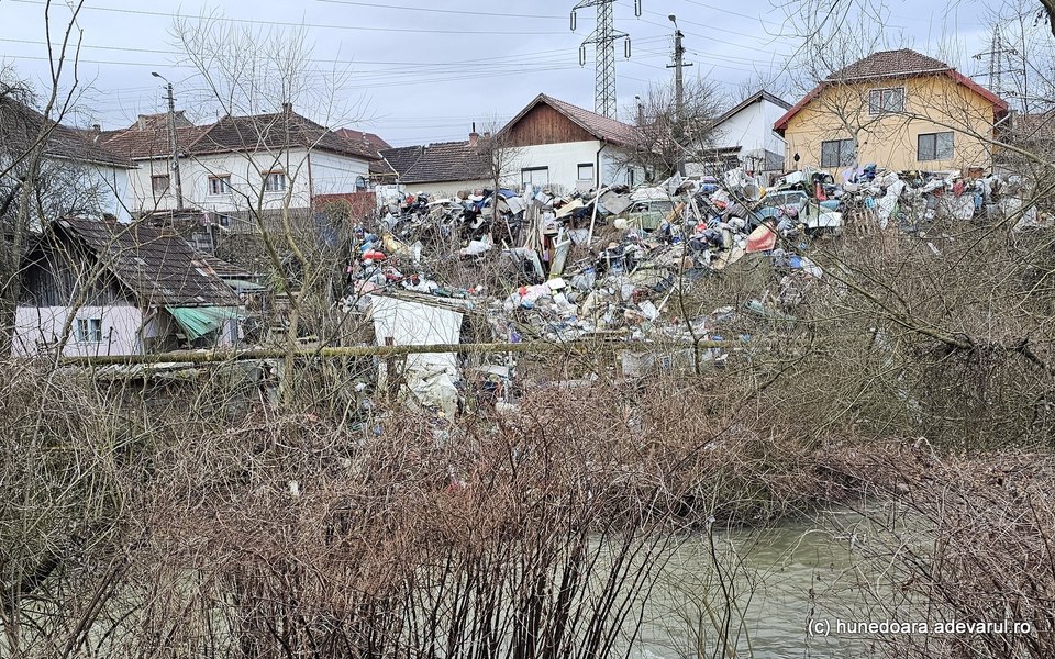 Un român a strâns un munte de vechituri în curte. „Este focar de mizerie, ne-au invadat șobolanii“ VIDEO