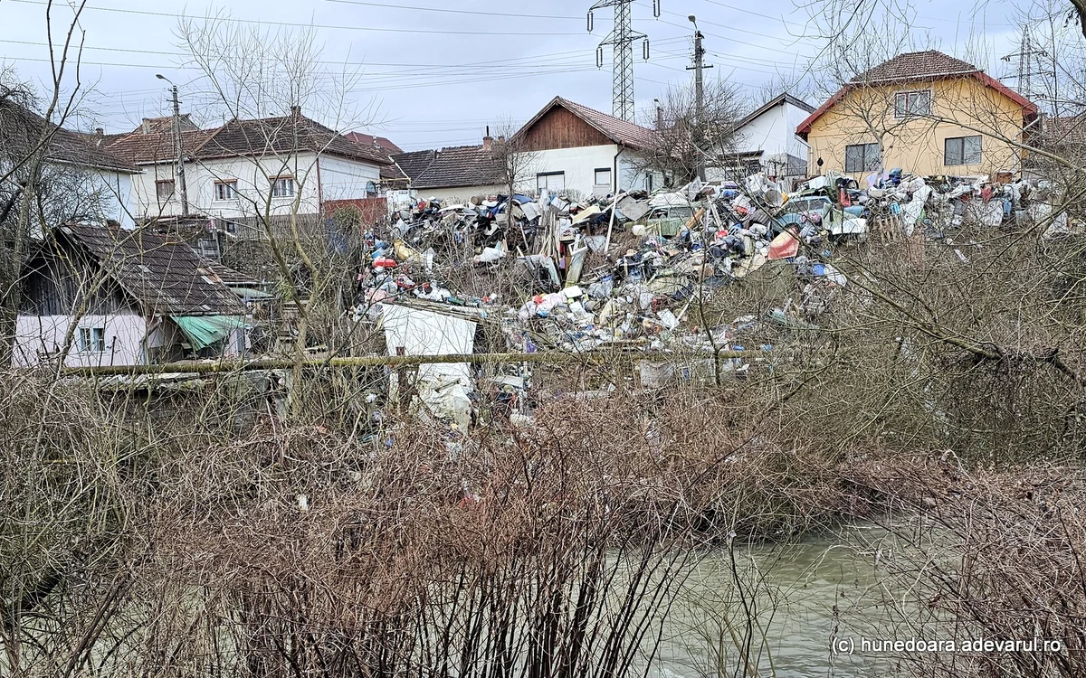 Vechiturile strânse de localnic i-au revoltat pe vecinii săi. Foto: Daniel Guță. ADEVĂRUL