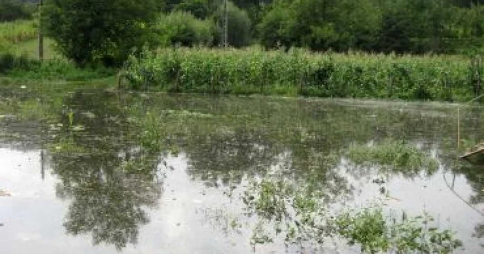 Râmnicu Vâlcea: Saramura a distrus culturile din Ocnele Mari pe 6500 de metri patraţi