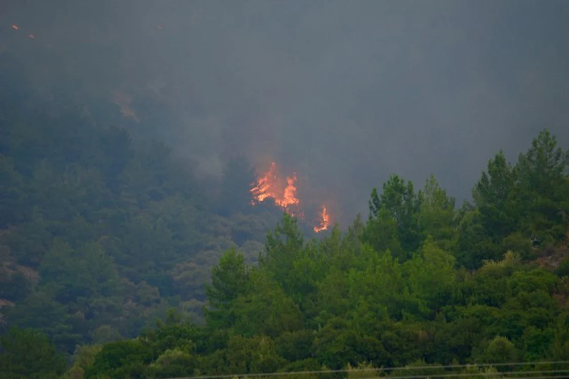 Incendiile au izbucnit sâmbătă la primele ore ale dimineţii şi au cuprins cu repeziciune o zonă împădurită