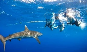 hurghada rechini JPG