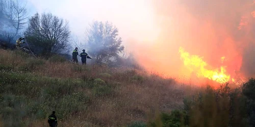 incendiu grecia samos foto twitter Kathimerini English Edition @ekathimerini