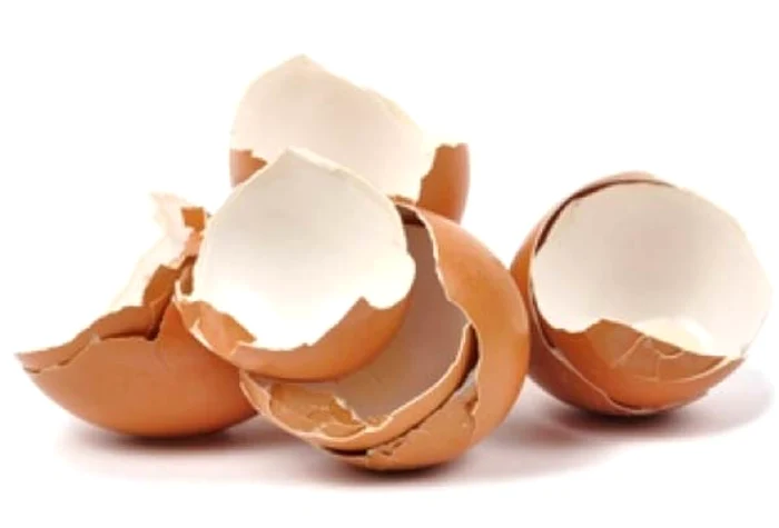Cojile de ouă au numeroase beneficii pentru organism.