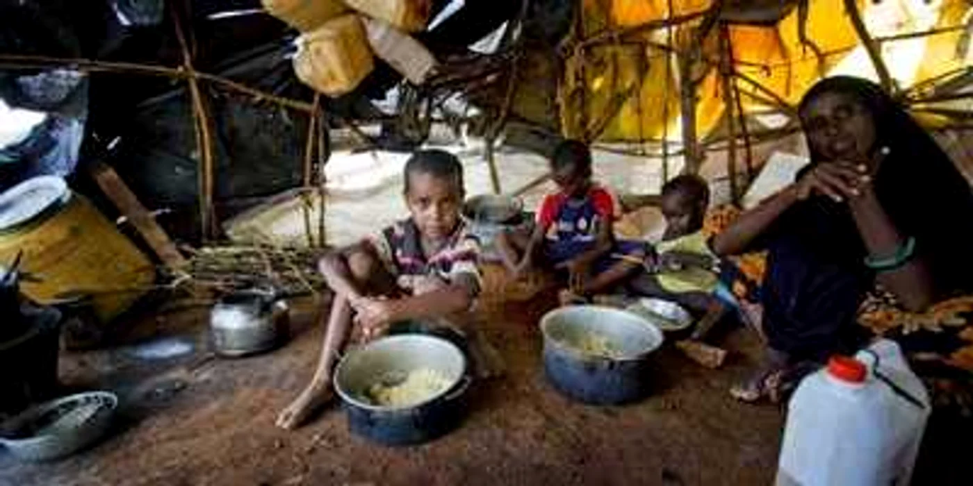 Statele Unite cred că ajutorul alimentar acordat Somaliei ajunge la Al-Qaida