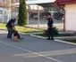 caini de serviciu la jandarmeria mehedinti FOTO Corina Macavei