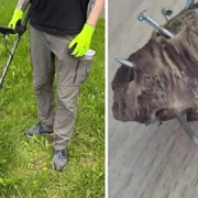 carne cu cuie foto stiri de cluj jpg