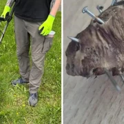 carne cu cuie foto stiri de cluj jpg