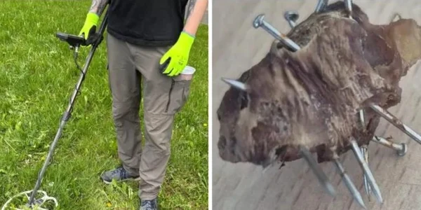 carne cu cuie foto stiri de cluj jpg