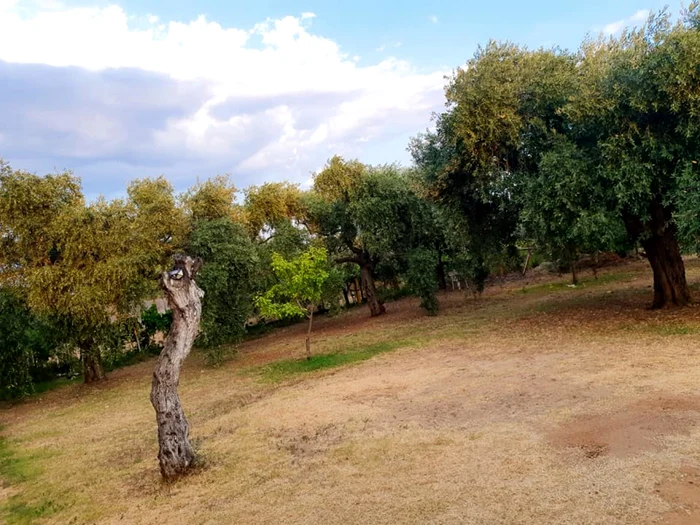 Imagine care însoţeşte postarea turistei din România. FOTO: Nicoleta Gosa