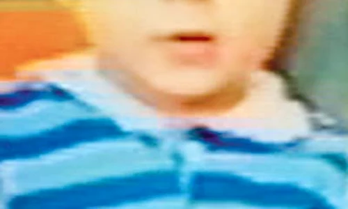 Avocata Aida Giurumescu  vrea să afle acum ce  venituri are fostul iubit jpeg
