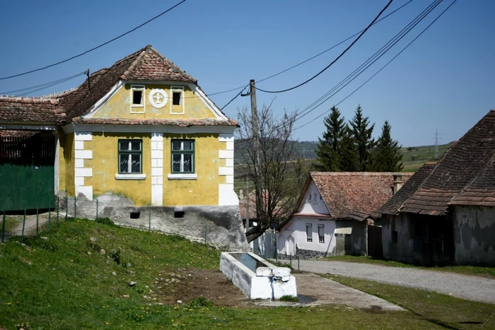 ciorba borboane foto Diana Oros