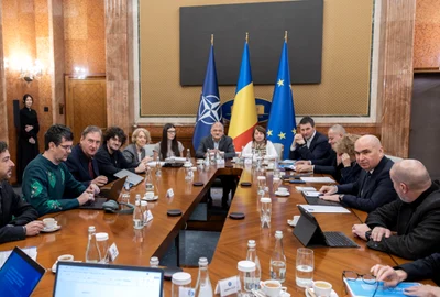 Ilie bolojan cu reprezentanti drepturi de autor jpeg