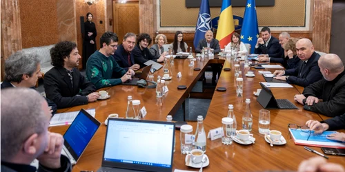 Ilie bolojan cu reprezentanti drepturi de autor jpeg