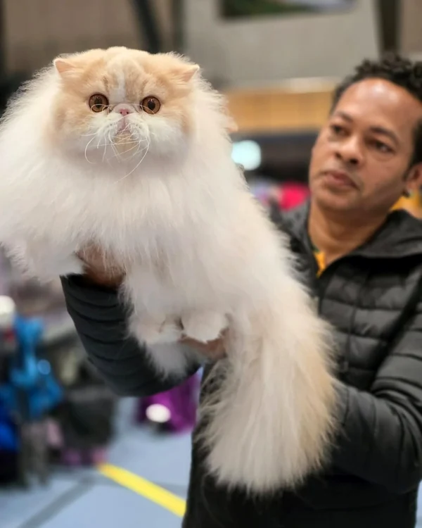 LIBELULA AZUL MAX jpg