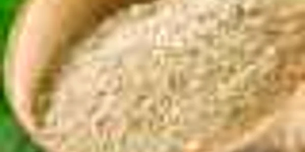 După o toxiinfecţie alimentară, organismul se reface mai repede cu ajutorul curei cu argilă