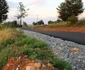 Tinutul padurenilor sosea cerbal socet foto daniel guta adevarul