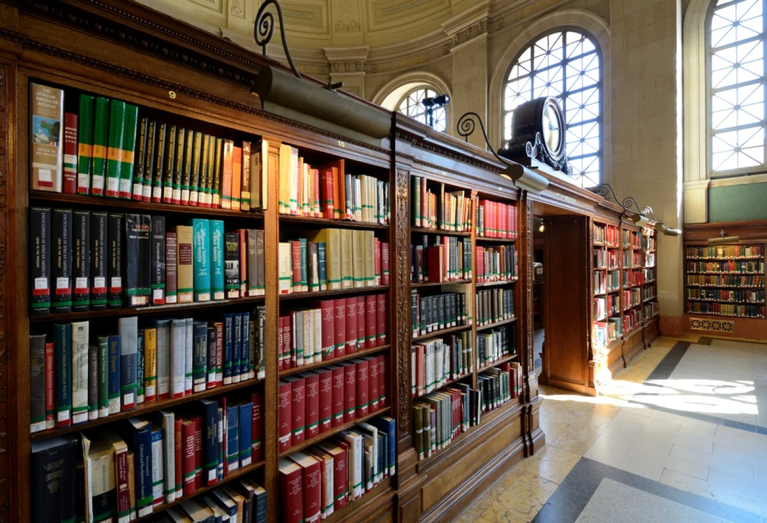carte - biblioteca - scriitor - librarie FOTO Shutterstock