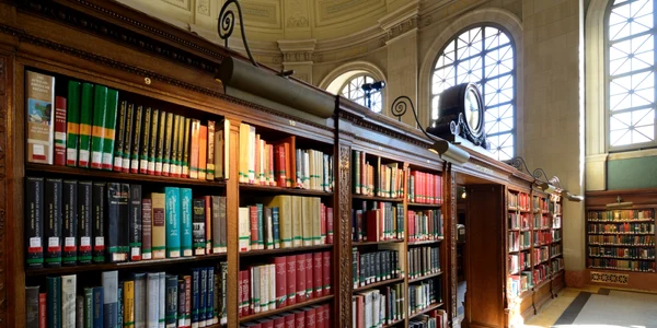 carte - biblioteca - scriitor - librarie FOTO Shutterstock