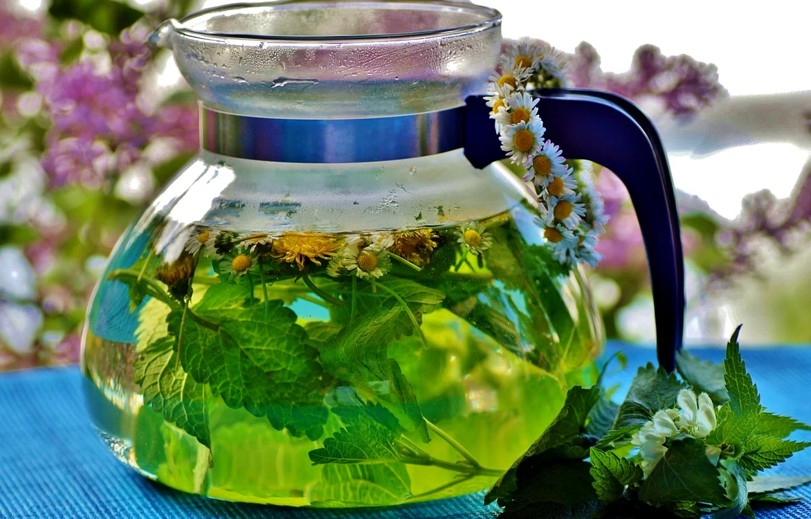 Planta care te scapă de mai multe probleme de sănătate / foto: Pixabay 