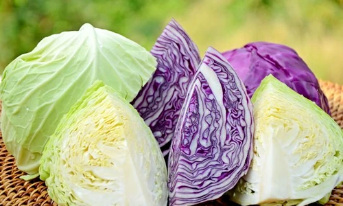 1 shutterstock 175471514 jpg jpeg