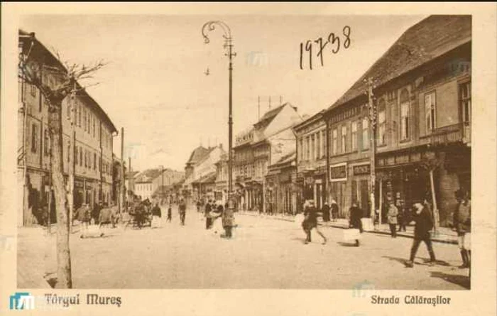 Vila familiei nobiliare Potoczky FOTO Artmark