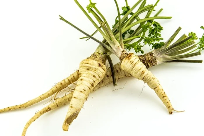 Pentru a preveni reapariţia cearcănelor, foarte eficiente sunt tratamentele interne cu ceaiuri detoxifiante, cum este cel de albăstreleFoto: pixabay.com
