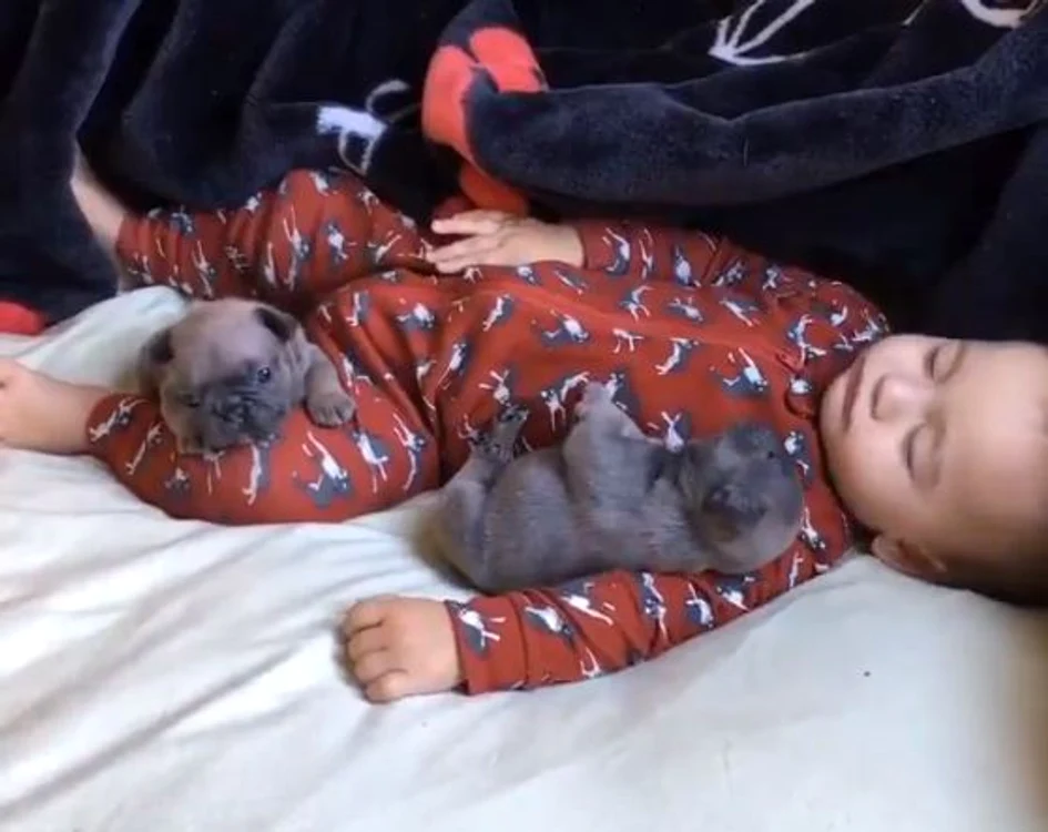 
    Mama și-a pus pruncul la culcare alături de doi pui de cățelfoto: captură video  