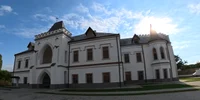 Castelul Nopcsa Foto Daniel Guță ADEVĂRUL (17) jpg