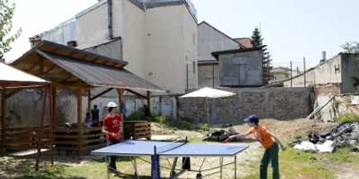 Copiii
care învaţă acasă sunt educaţi sunt educaţi prin activităţi practice, vara
învăţând în curte. Mai mult, ideea homeschooling-ului este să-i educe pe copii
prin activităţi concrete FOTO: Eduard Enea/Adevărul