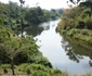 3DC0293A00000578 4263634 The six acres of riverside land are directly next to a heavily g a 62 1488196926583 jpeg