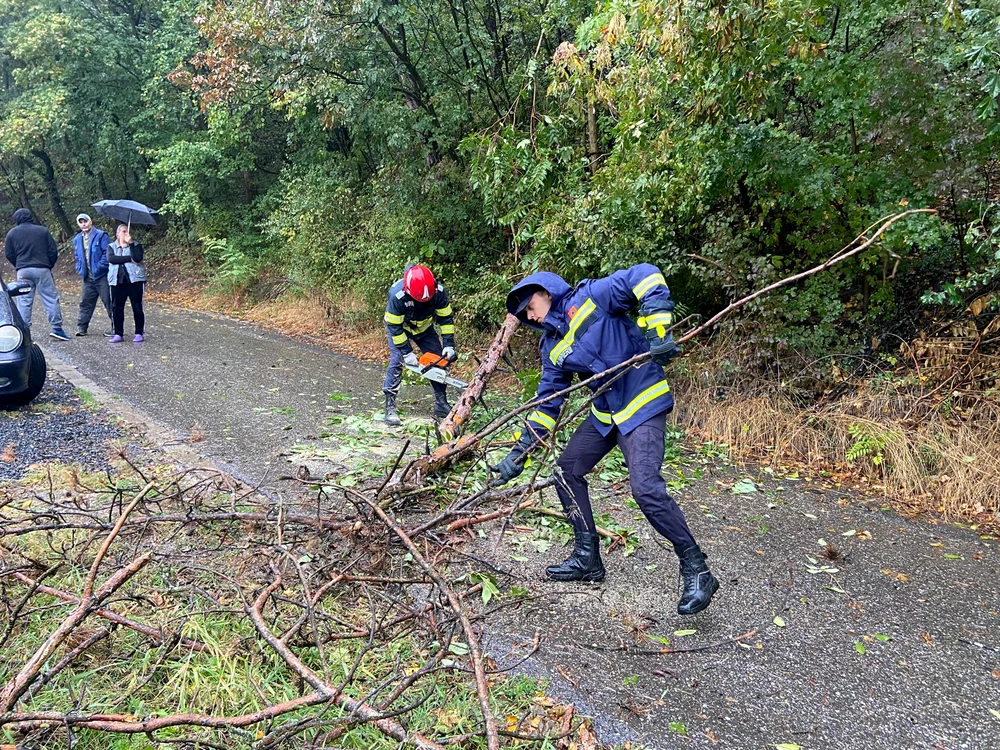 Ăn Argeş, copaci căzuţi pe carosabil au blocat drumul. Foto ISU Argeş