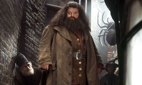 Robbie Coltrane ca Hagrid din Harry Potter (1) jpg