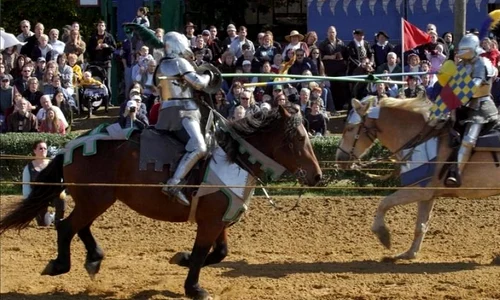 Cine erau vedetele Evului Mediu? jpeg