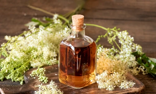 1 shutterstock 1816790585 jpg jpeg