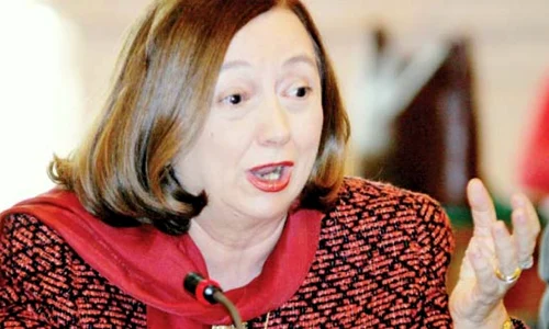 Rodica Stănoiu a colaborat cu Securitatea