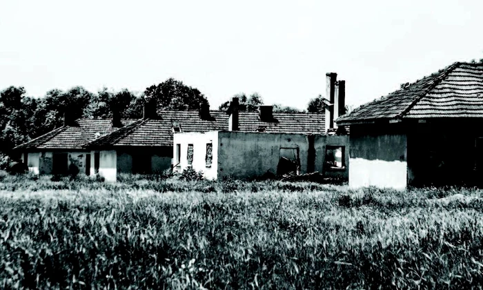 Lagărul morții de la Periprava  Mărturii inedite din ancheta torționarului Ficior jpeg