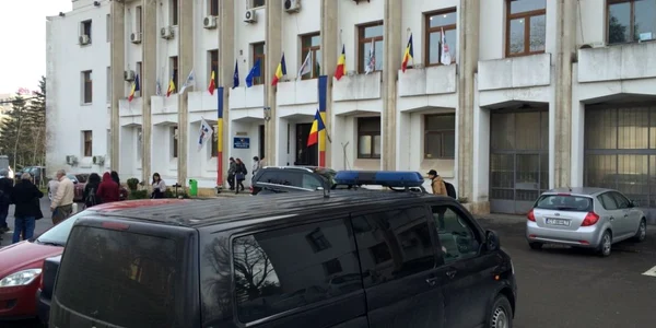 DNA la Primaria Constanta