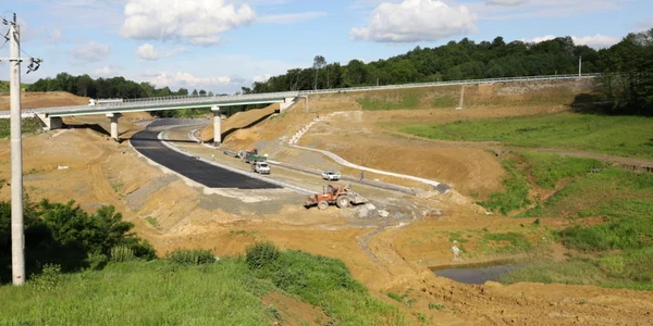 holdea locul unde incepe sectiunea unde vor fi construite tunelurile pentru ursi foto adevarul