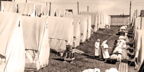 Moartea în era gripei spaniole