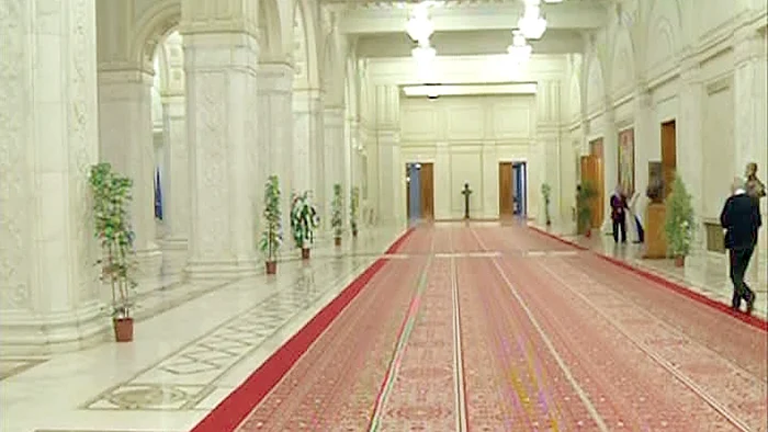 Holul instituţiei este acum plin cu “verdeaţă” 